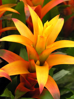 PICT0182.JPG