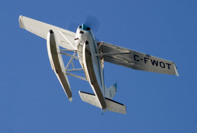 CRW_5428.jpg