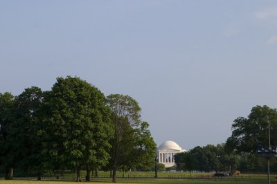 CRW_4469.jpg