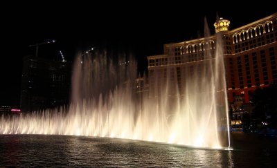 IMG_0262.jpg