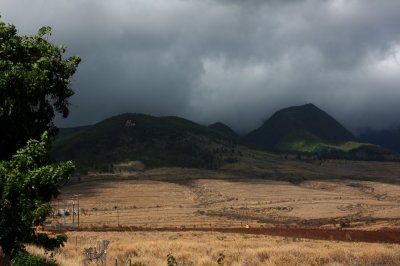 IMG_1110.jpg