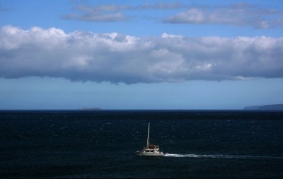 IMG_1121.jpg