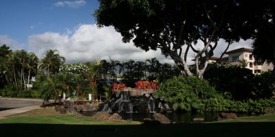IMG_1137.jpg