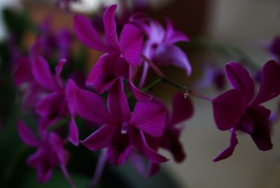 IMG_1138.jpg