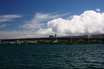 IMG_1256.jpg