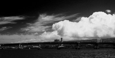 IMG_1256_bw.jpg