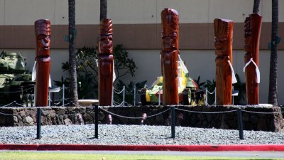 IMG_1353.jpg