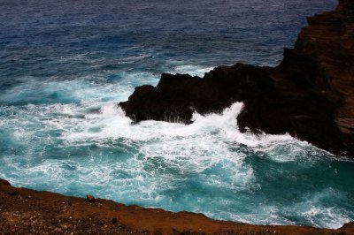 IMG_1354.jpg