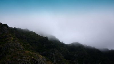 IMG_1378.jpg