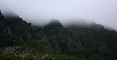 IMG_1380.jpg