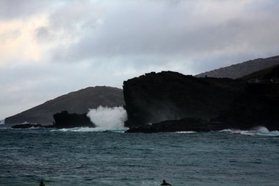 IMG_1503.jpg