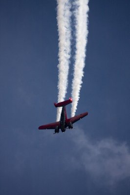 IMG_1904.jpg