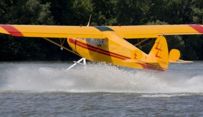 IMG_2043.jpg