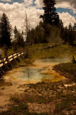 Seismograph Spring