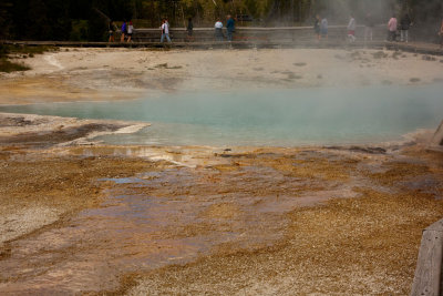 Black Pool 1