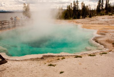 Black Pool 6