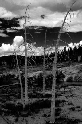 IMG_3249_bw.jpg