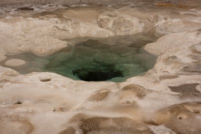 IMG_3253.jpg