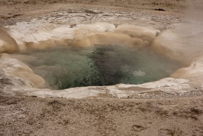 IMG_3255.jpg