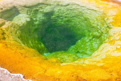 Morning Glory Pool 3