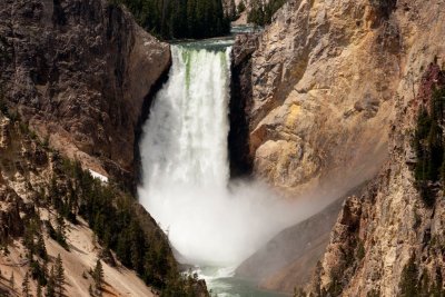 Lower Yellowstone Falls