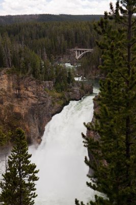 IMG_3651.jpg