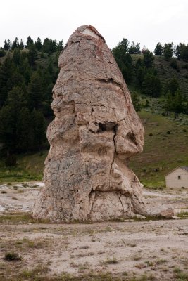 Liberty Cap