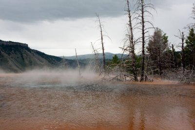 IMG_3712.jpg
