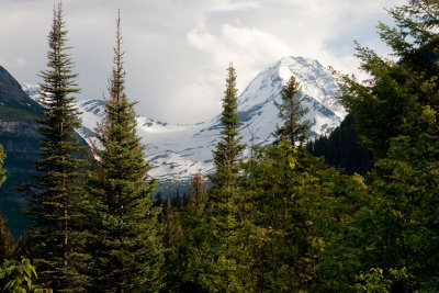 Jackson Glacier