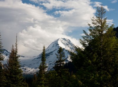 IMG_3739.jpg