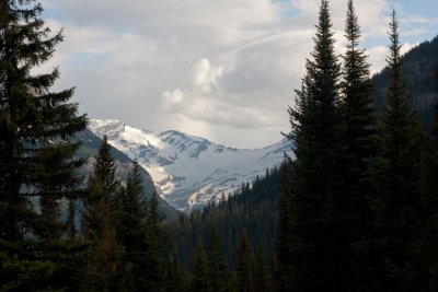 IMG_3748.jpg