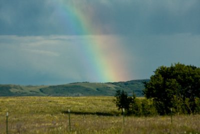IMG_3756.jpg