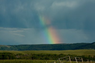 IMG_3758.jpg