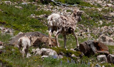 IMG_3852.jpg