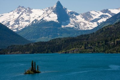 IMG_3993.jpg