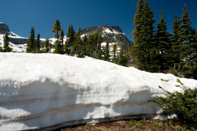 Logan Pass