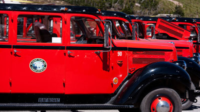 Glacier Red Busses