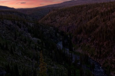 Lewis River Canyon
