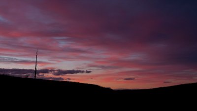 IMG_3169.jpg