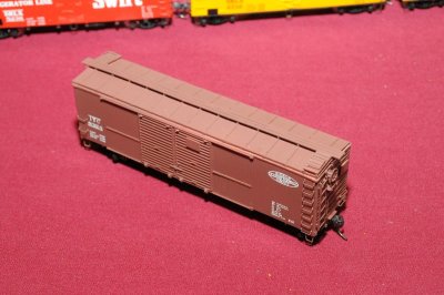 Andy Cich Model