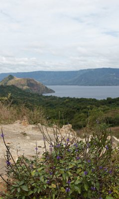 IMG_4207.jpg