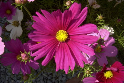 Image005.jpg