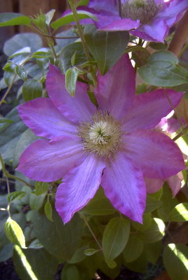 Image005.jpg