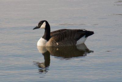 CRW_8579.jpg