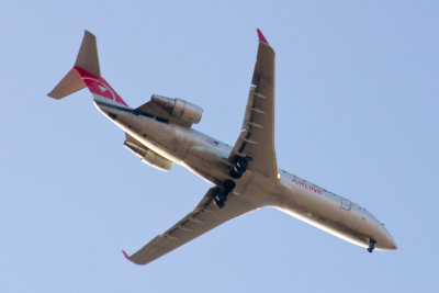CRW_8648.jpg
