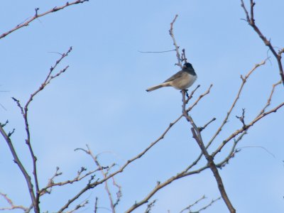 CRW_8755.jpg