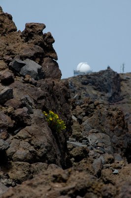 La Palma