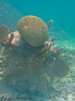20100710_akumal_0017.jpg