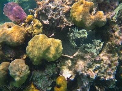 20100711_akumal_0021.jpg