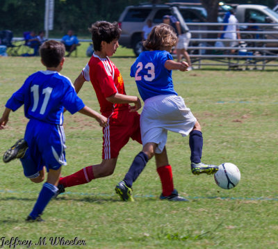 _MG_7750.jpg